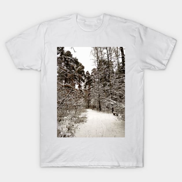 Winter forest T-Shirt by Evgeniya